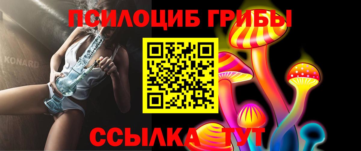 Железногорск  закладки  Псилоцибиновые грибы Cubensis  Вход с VPN  Псилоцибиновые грибы прущие грибы 